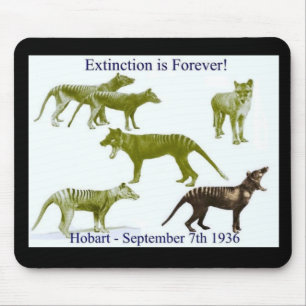 Mousepad Tapete do rato tasmaniano do Thylacine do tigre
