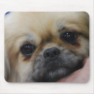 Mousepad Tapete do rato tibetano do filhote de cachorro do