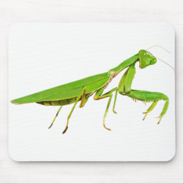 Mousepad Tapete do rato verde gigante da louva-a-deus