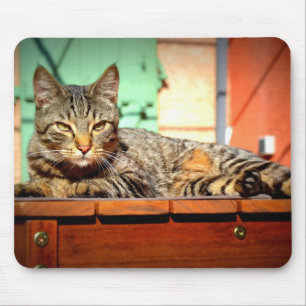 Mousepad Tapete rato gato tigrado sobre uma mesa de jardim