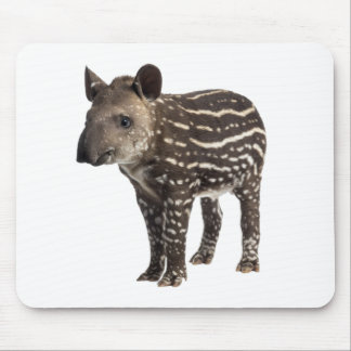 Mousepad Tapir