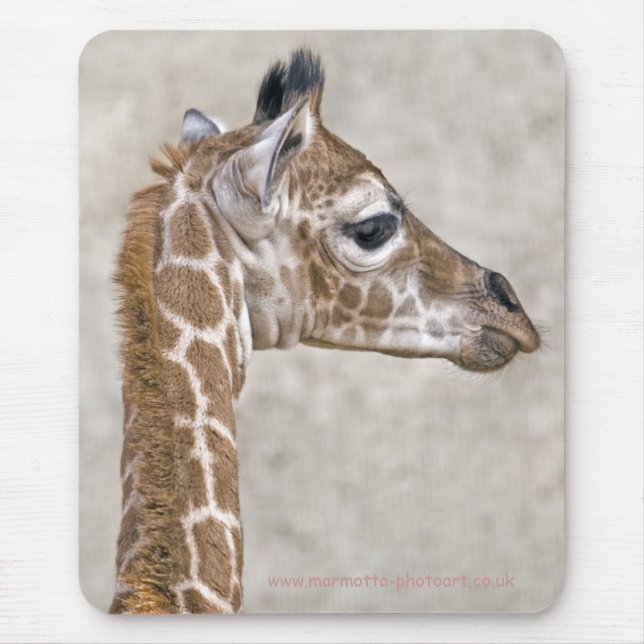 Mousepad Tapis de Rato do Príncipe Africano (Frente)