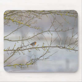 Mousepad Tapis de souris rouge-gorge