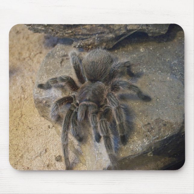 Mousepad Tarantula cor-de-rosa do cabelo do chileno (Frente)