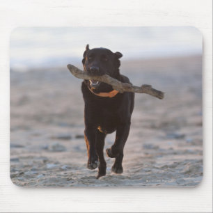 Mousepad tarifa, cadiz, espanha