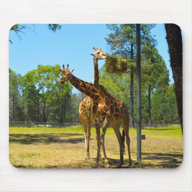 Mousepad Taronga Western Plains Zoo Dubbo - Girafas (Frente)