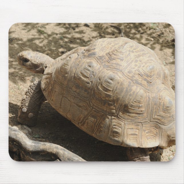 Mousepad Tartaruga (Frente)
