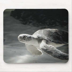 Mousepad Tartaruga