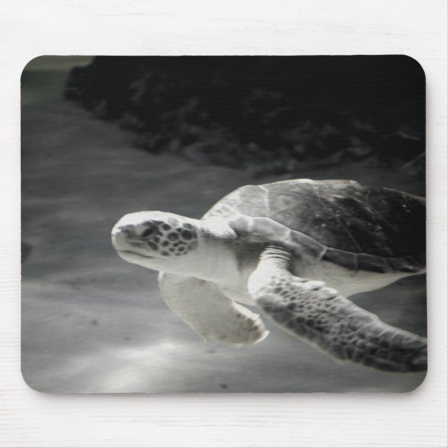 Mousepad Tartaruga (Frente)