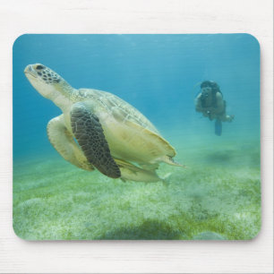 Mousepad Tartaruga