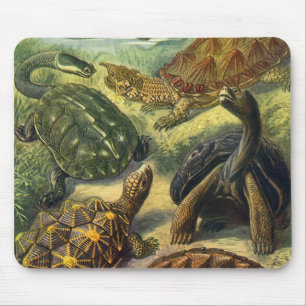 Mousepad Tartaruga da terra das tartarugas de mar do