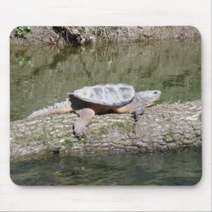 Mousepad Tartaruga de estalagem