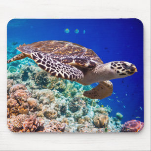 Mousepad Tartaruga de mar