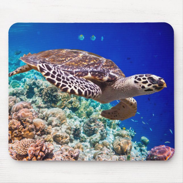 Mousepad Tartaruga de mar (Frente)
