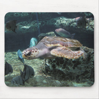 Mousepad Tartaruga de mar