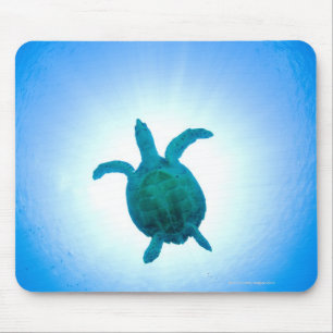 Mousepad Tartaruga de mar que nada debaixo d'água