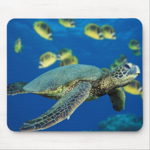 Mousepad Tartaruga de mar verde