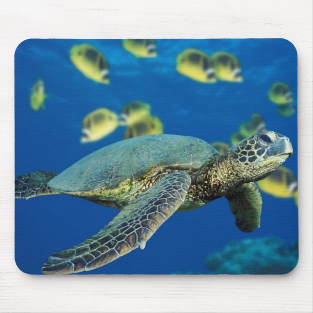 Mousepad Tartaruga de mar verde (Frente)