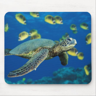 Mousepad Tartaruga de mar verde