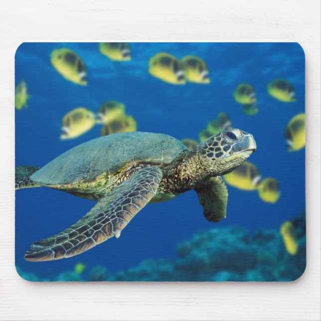 Mousepad Tartaruga de mar verde (Frente)