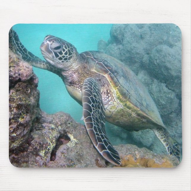 Mousepad Tartaruga de mar verde de Havaí (Frente)