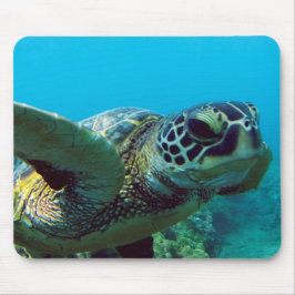 Mousepad Tartaruga de mar verde de Havaí