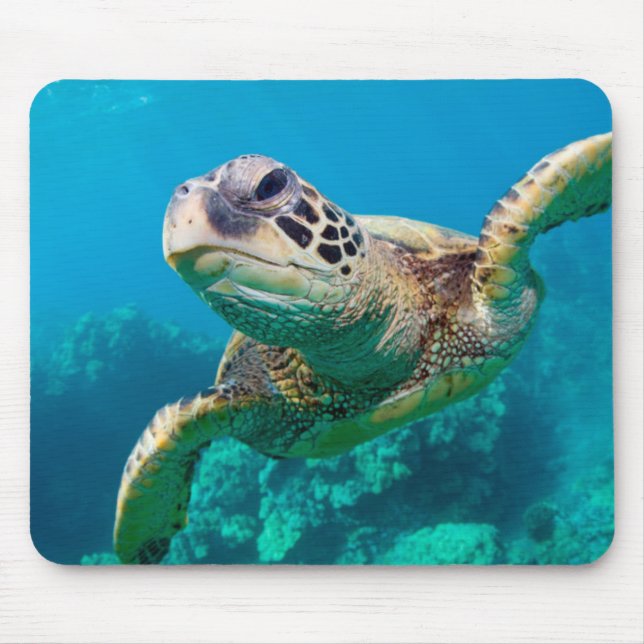 Mousepad Tartaruga de mar verde que nada sobre o recife de (Frente)