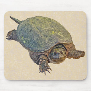 Mousepad Tartaruga de Snapshot Comum - Serpentina de Chelyd