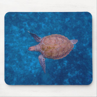Mousepad Tartaruga do Mar de Barbados