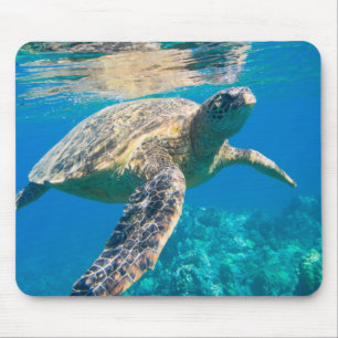 Mousepad Tartaruga do Mar Nadado