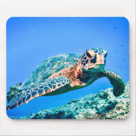 Mousepad Tartaruga do Mar Verde