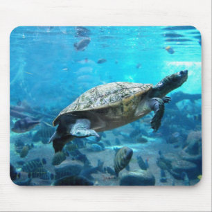 Mousepad Tartaruga e peixes