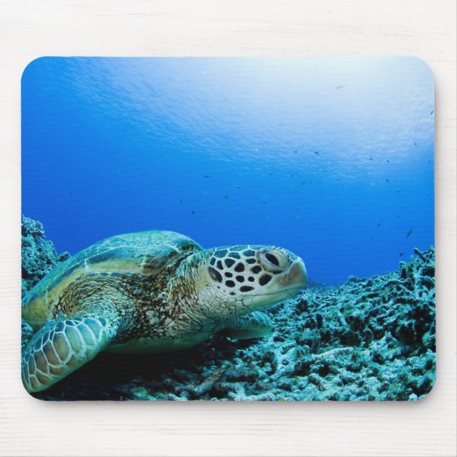 Mousepad Tartaruga marinha descansando submarina (Frente)