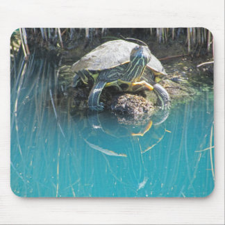 Mousepad Tartaruga por Água com Reflexão Foto Lago Animal