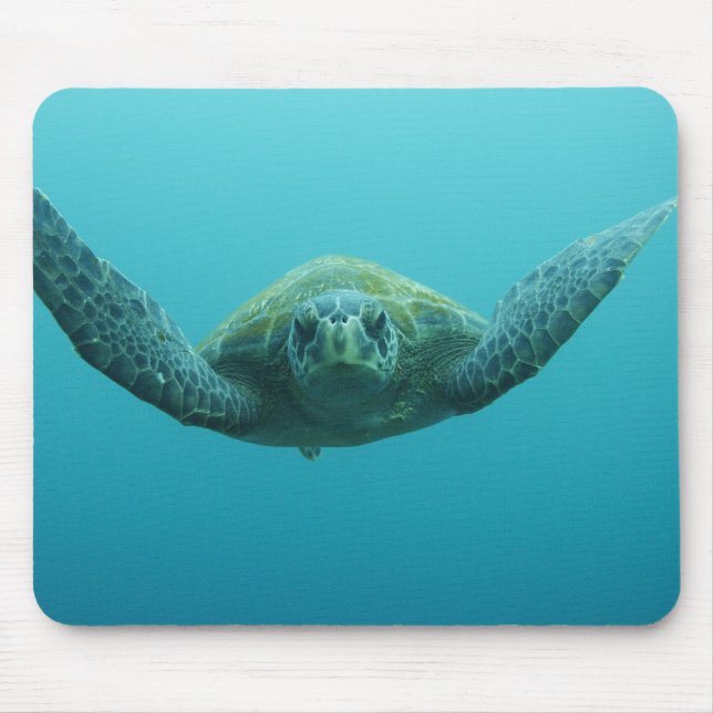 Mousepad Tartaruga Verde (Chelonia mydas agassisi), Central (Frente)