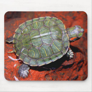 Mousepad tartaruga Vermelho-orelhuda