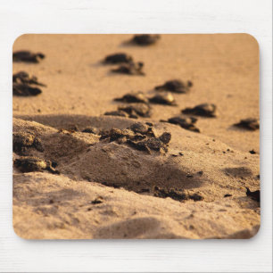 Mousepad Tartarugas de mar