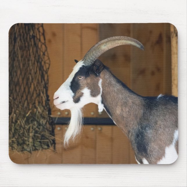 Mousepad Tauernschecken-Ziege (Frente)