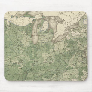 Mousepad Taxa de Nascimento EUA, Litografia Estatística do