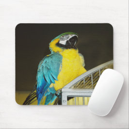 Mousepad Taz.