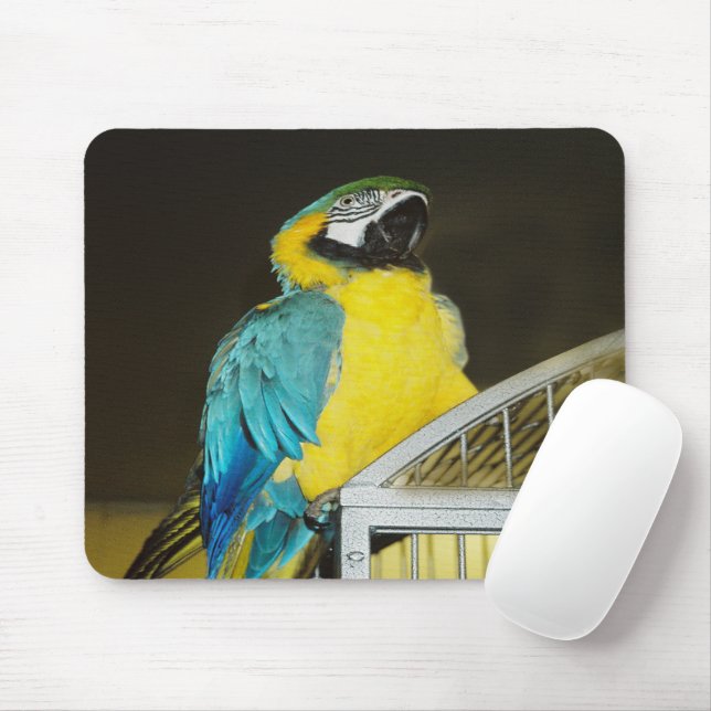 Mousepad Taz. (Com mouse)