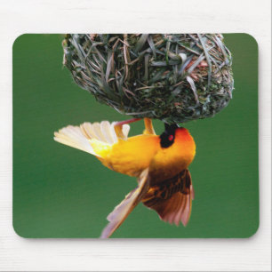 Mousepad Tearilhão-de-máscara-preta (Ploceus Velatus)