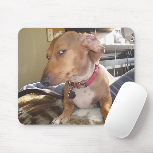 Mousepad Tecido do Mouse Cachorro Lado (Com mouse)