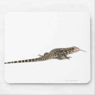 Mousepad Tegu azul - merianae do Tupinambis