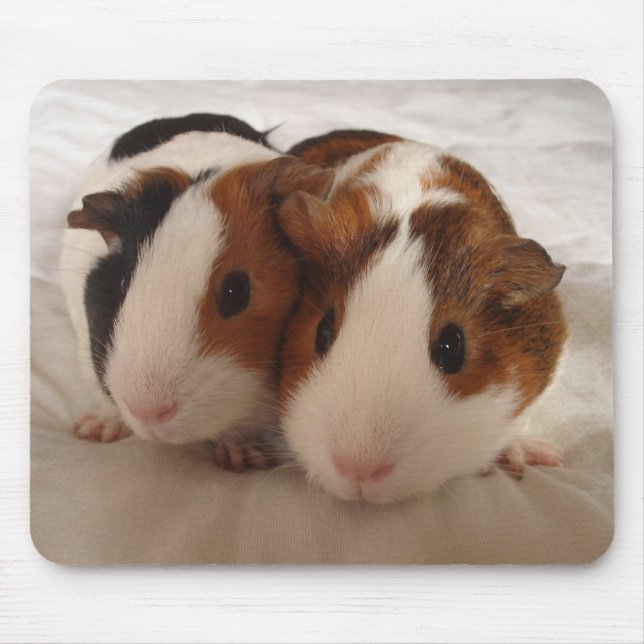Mousepad Telmha & louise (Frente)