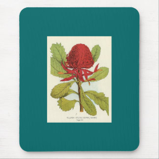 Mousepad Telopea Speciosissimae Waratah