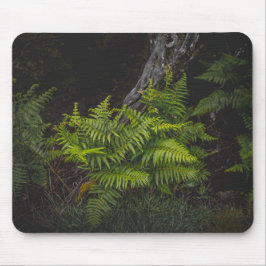 Mousepad tema da natureza verde sombrio com samambaias