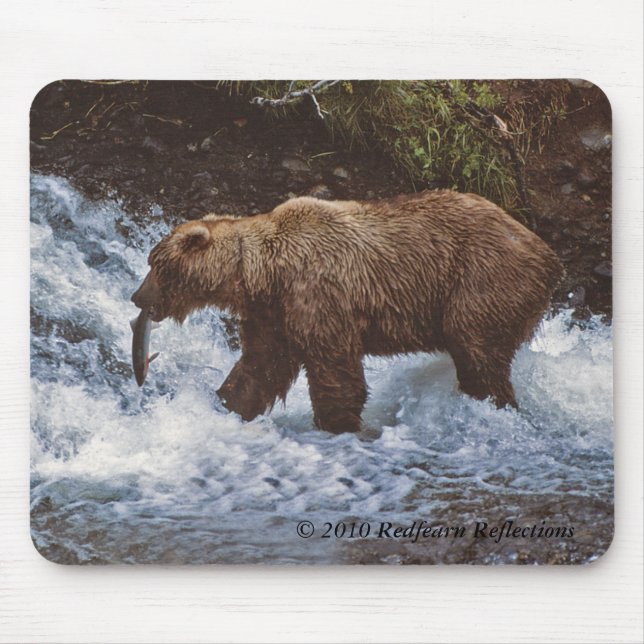 Mousepad tempo do almoço, reflexões 2010 de Redfearn do © (Frente)