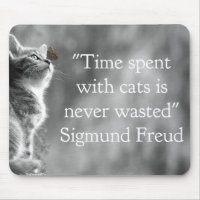 Tempo gasto com gatos. . .