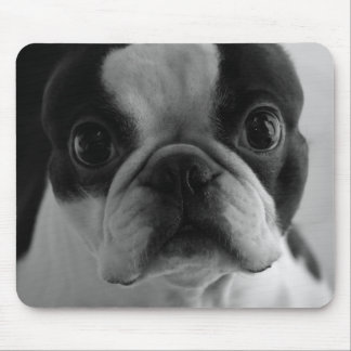 Mousepad Terrier de Danson Boston